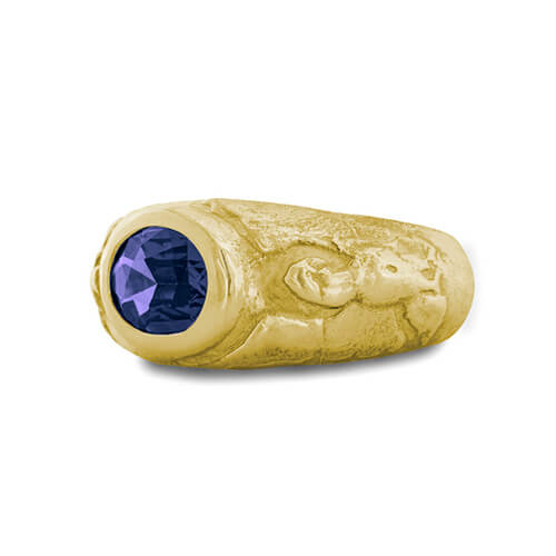 Signet Bucky Ring • 18k Yellow Gold